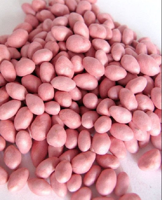 Мышид Мышид